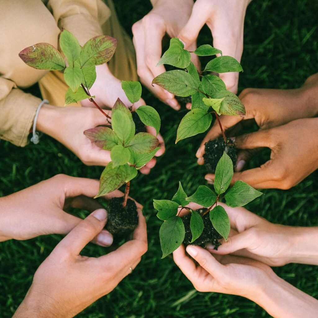 huella de carbono de senacyt