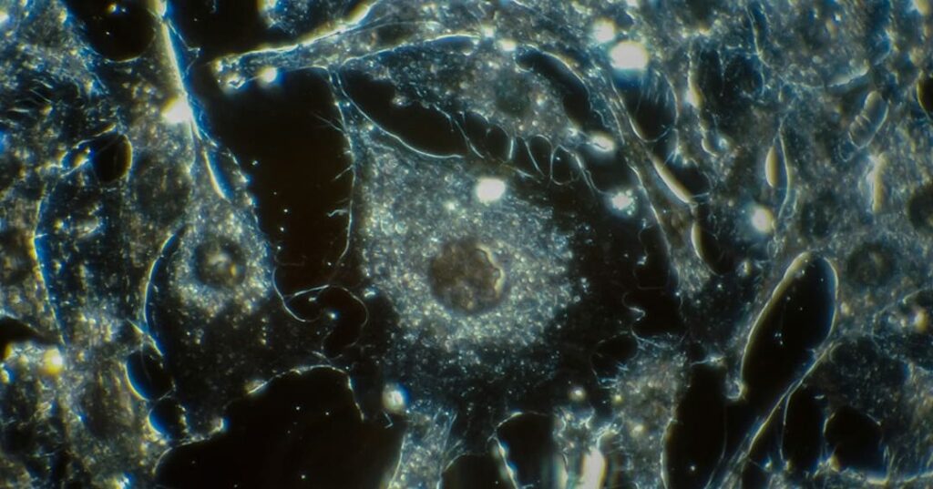 Jackhammer molecular