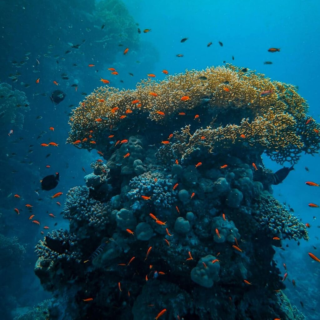 Iniciativa Seabed 2030