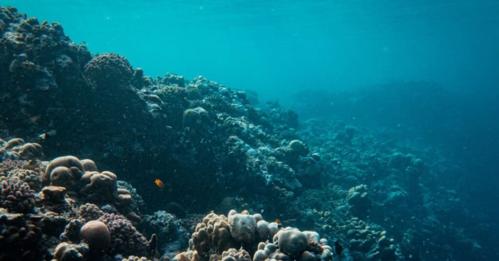 Iniciativa Seabed 2030