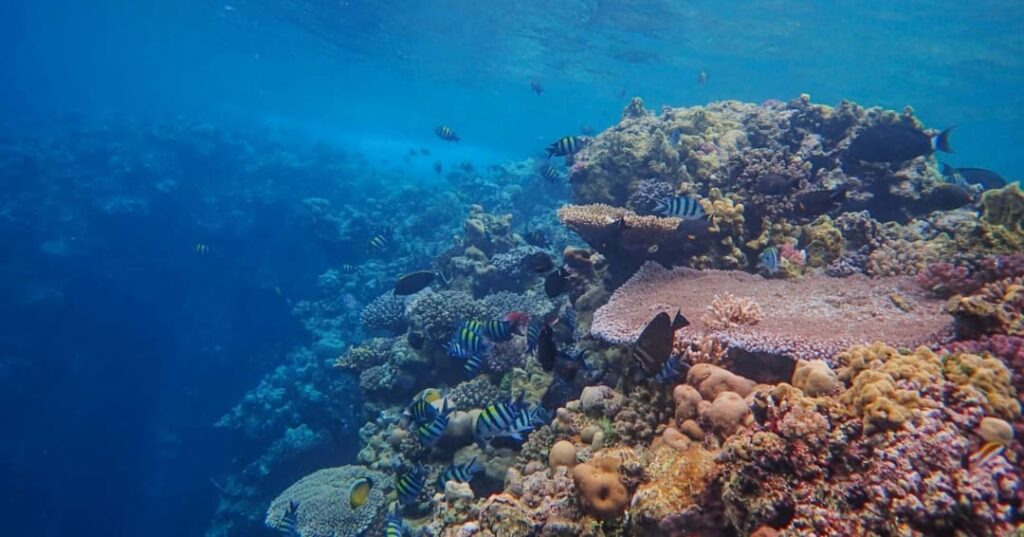 Iniciativa Seabed 2030