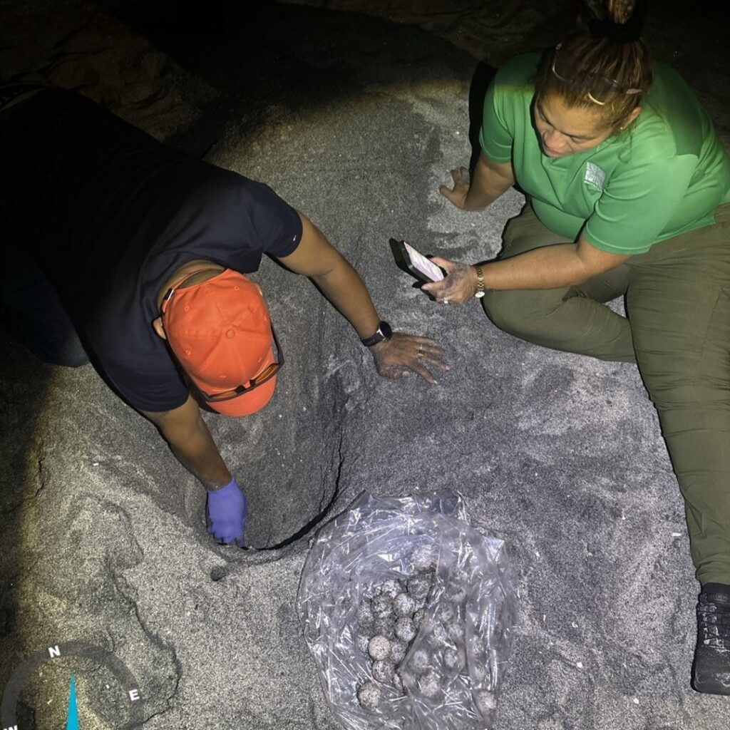 Monitoreo en Playa Caracol