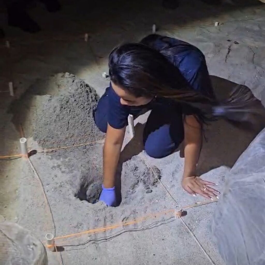 Monitoreo en Playa Caracol