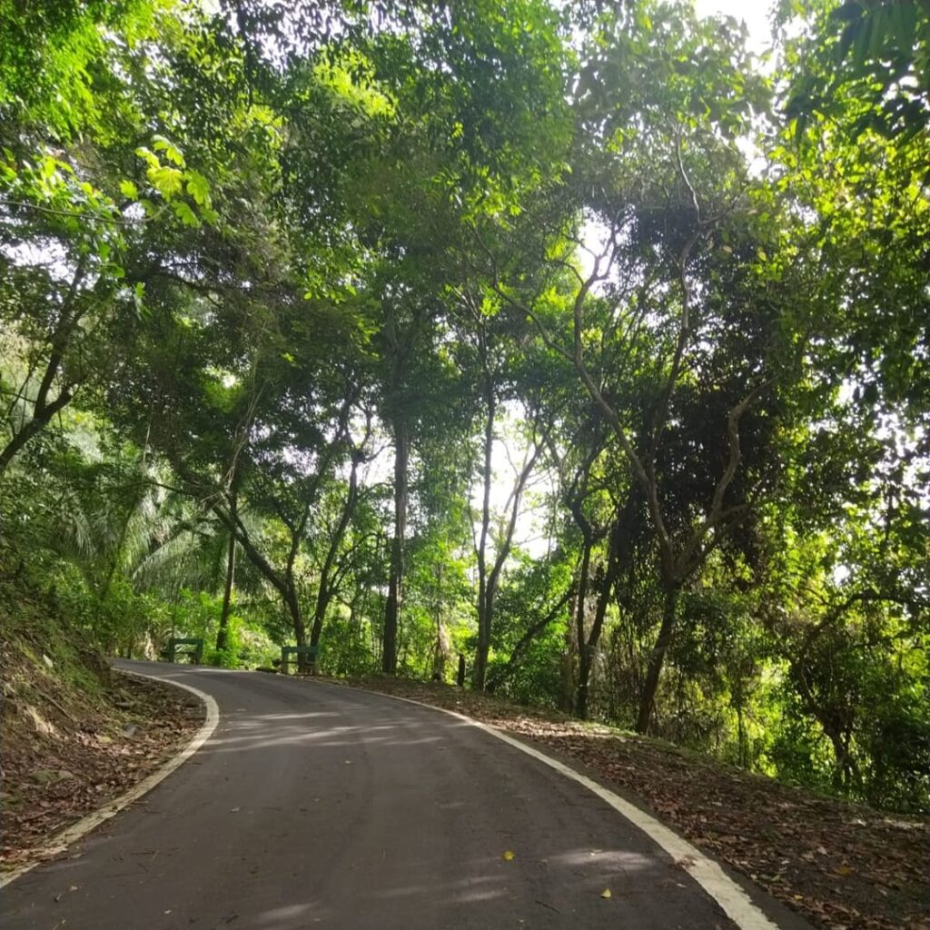 Reserva Natural Cerro Ancón