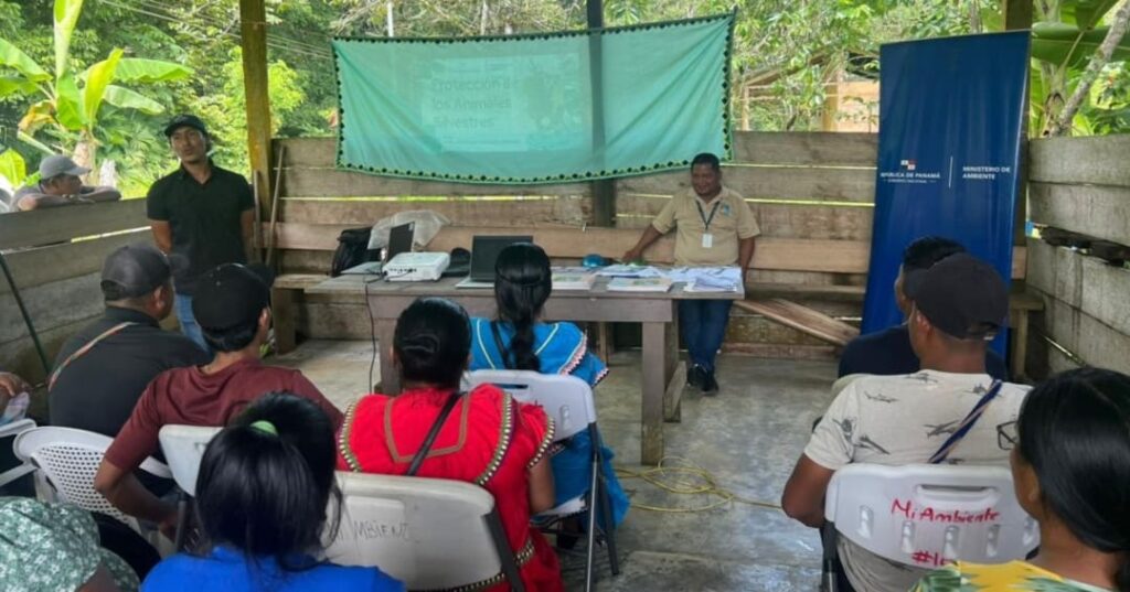 Voluntariado ambiental en Bocas del Toro