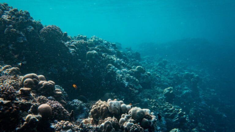 Iniciativa Seabed 2030