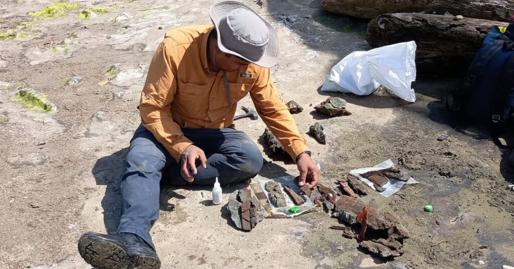 paleontólogo Carlos De Gracia