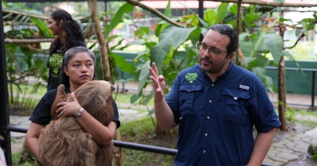 Proyecto para perezosos de la APPC