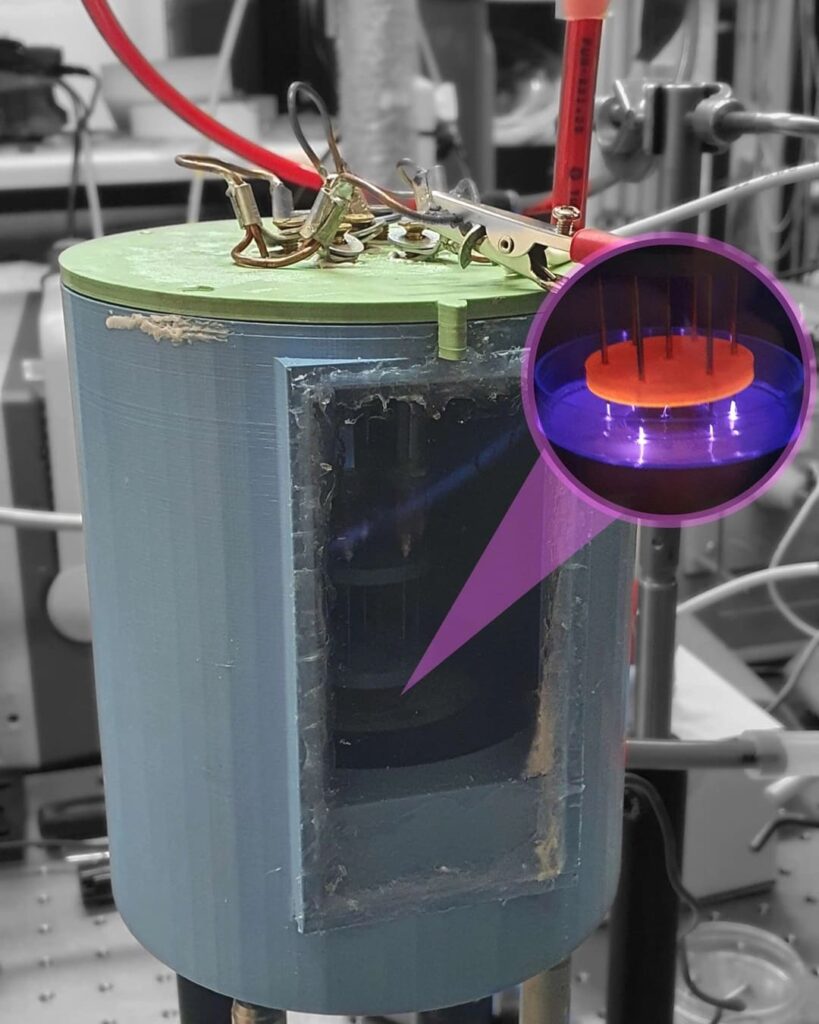 Premio de la Tierra 2025