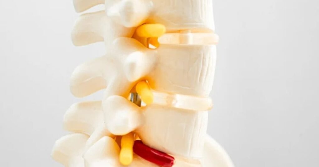 Reparación de la médula espinal
