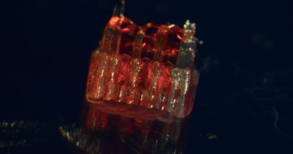 Reparación de la médula espinal