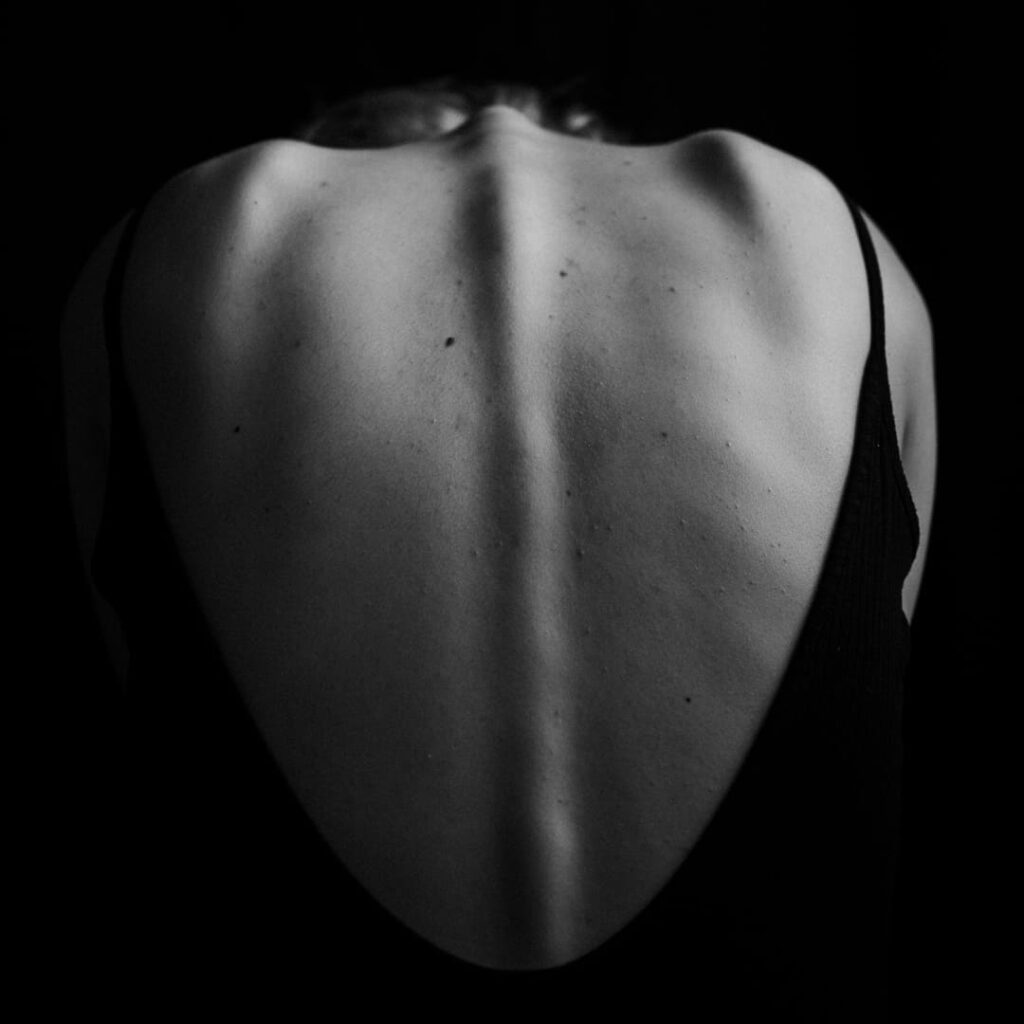 Reparación de la médula espinal