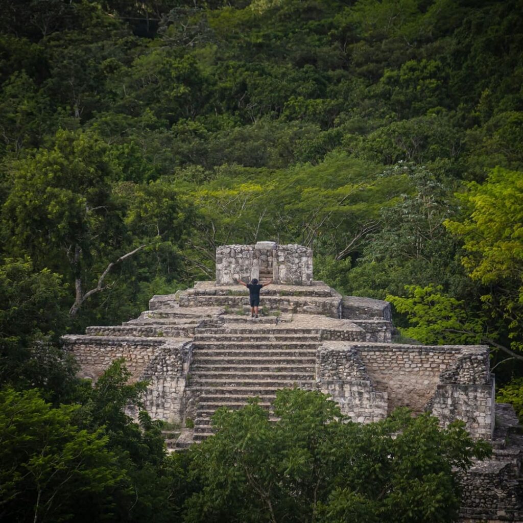 Gran reserva maya