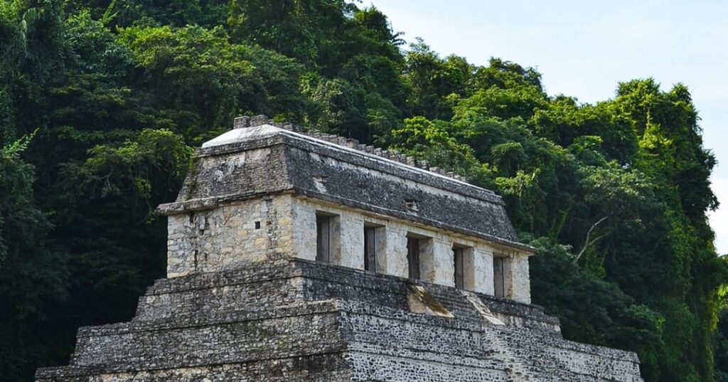 Gran reserva maya