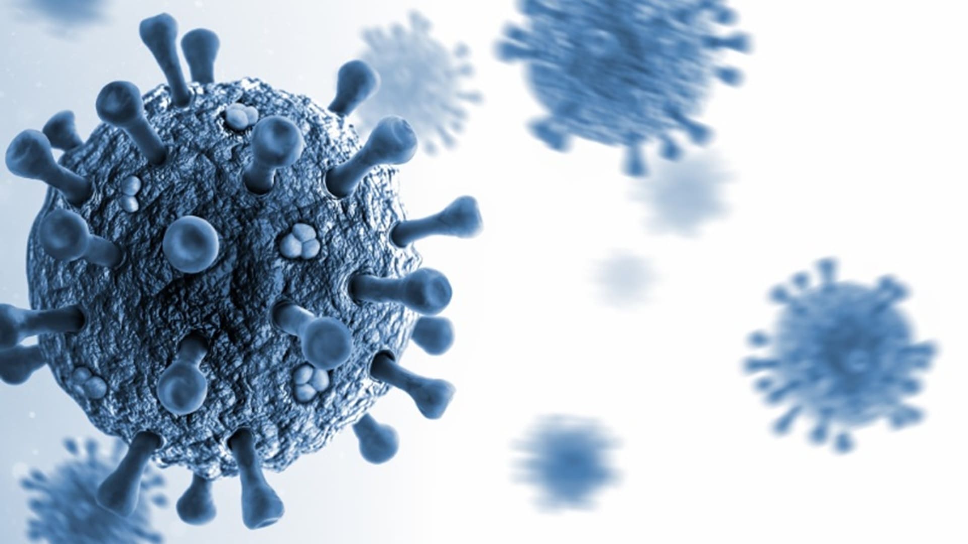 primer antiviral de amplio espectro