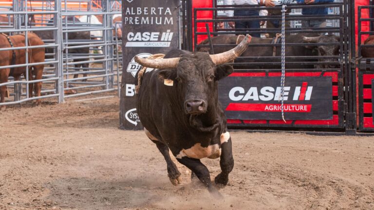 Tauromaquia en Colombia