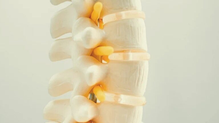 Reparación de la médula espinal