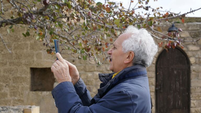 Adultos mayores e Inteligencia Artificial