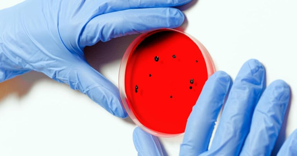 primer antiviral de amplio espectro