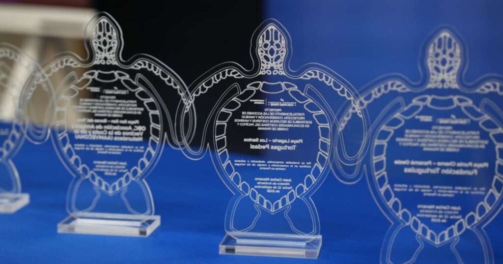 Protección de tortugas marinas en Panamá