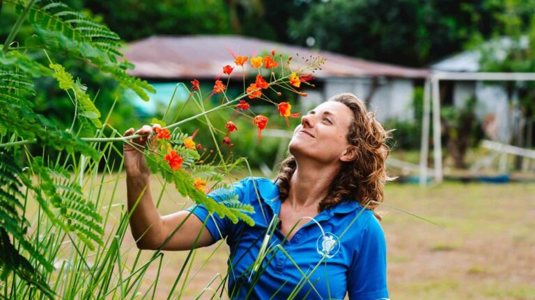Donativos ambientales Ford