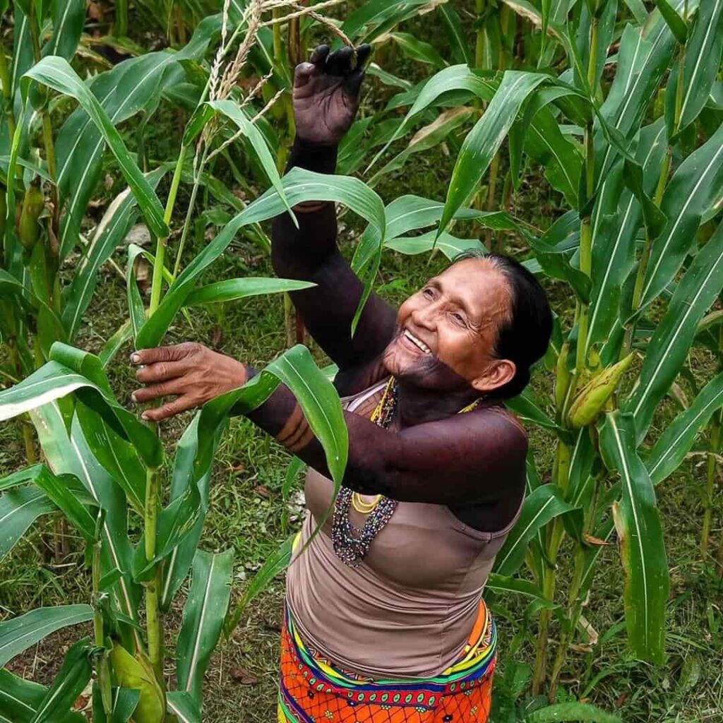 Donativos ambientales Ford