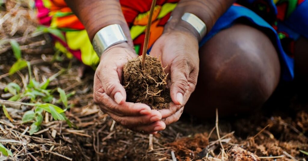 Donativos ambientales Ford