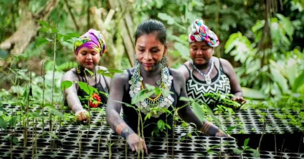 Donativos ambientales Ford