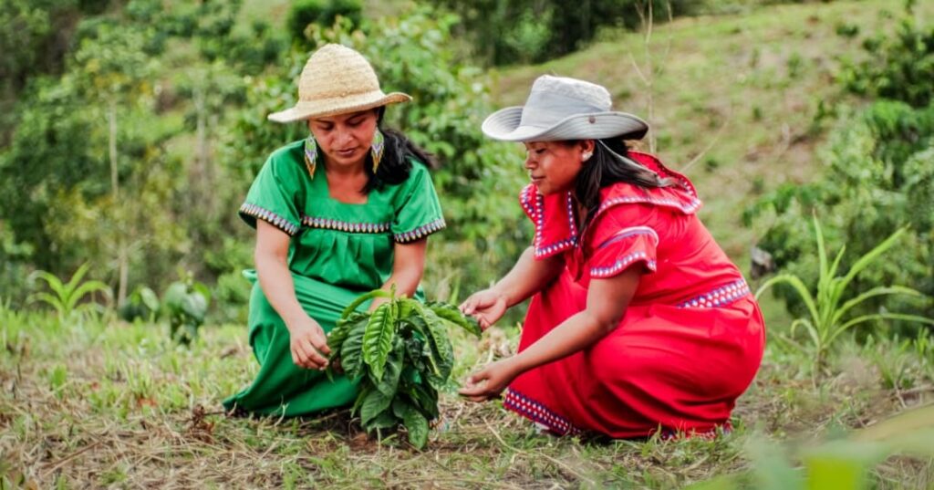 Donativos ambientales Ford
