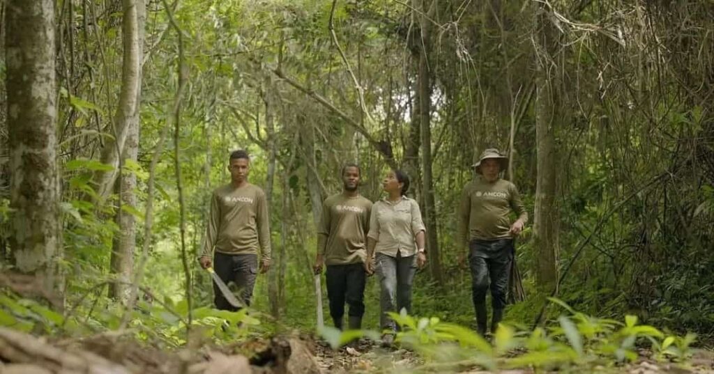 International Ranger Award 2025