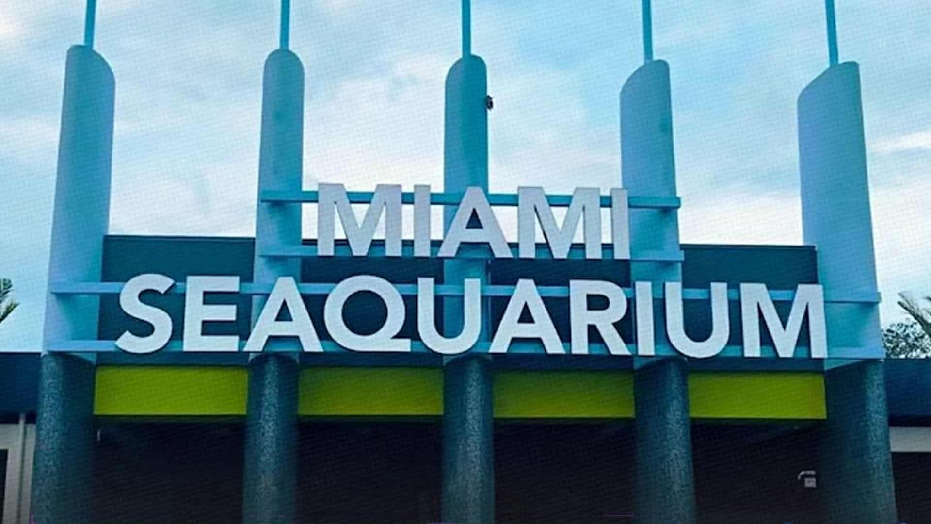 Miami Seaquarium (1)-min