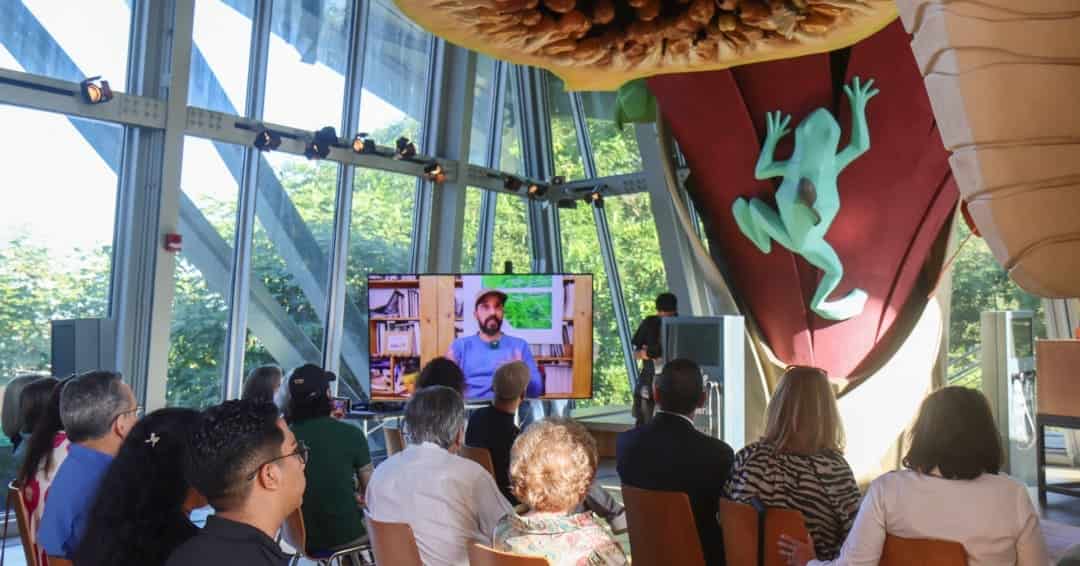 Pilares del Biomuseo