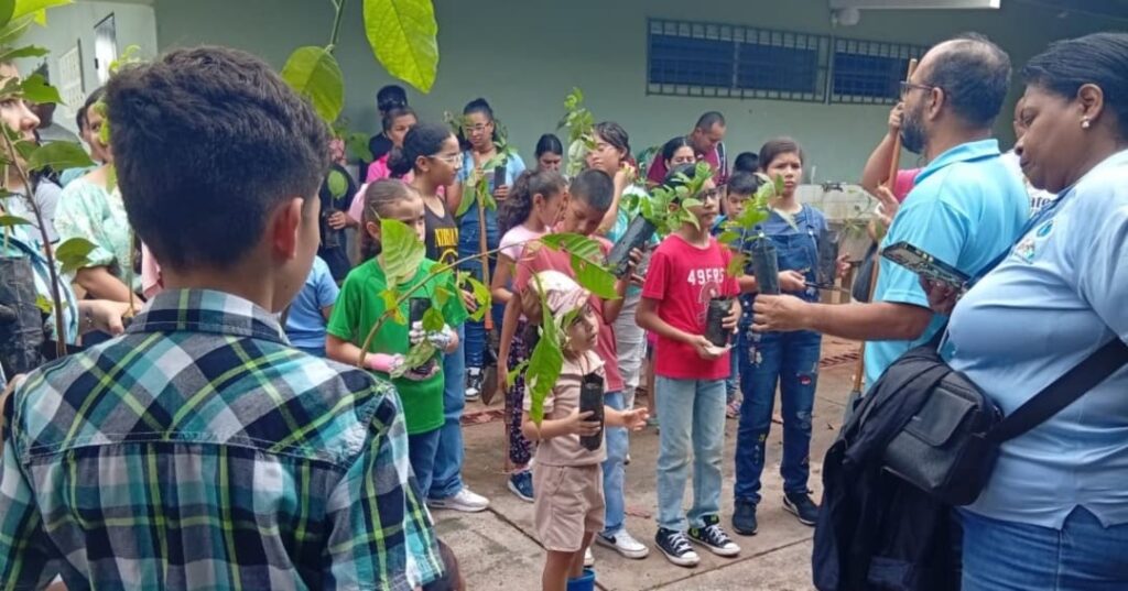 Reforestación en Panamá Oeste