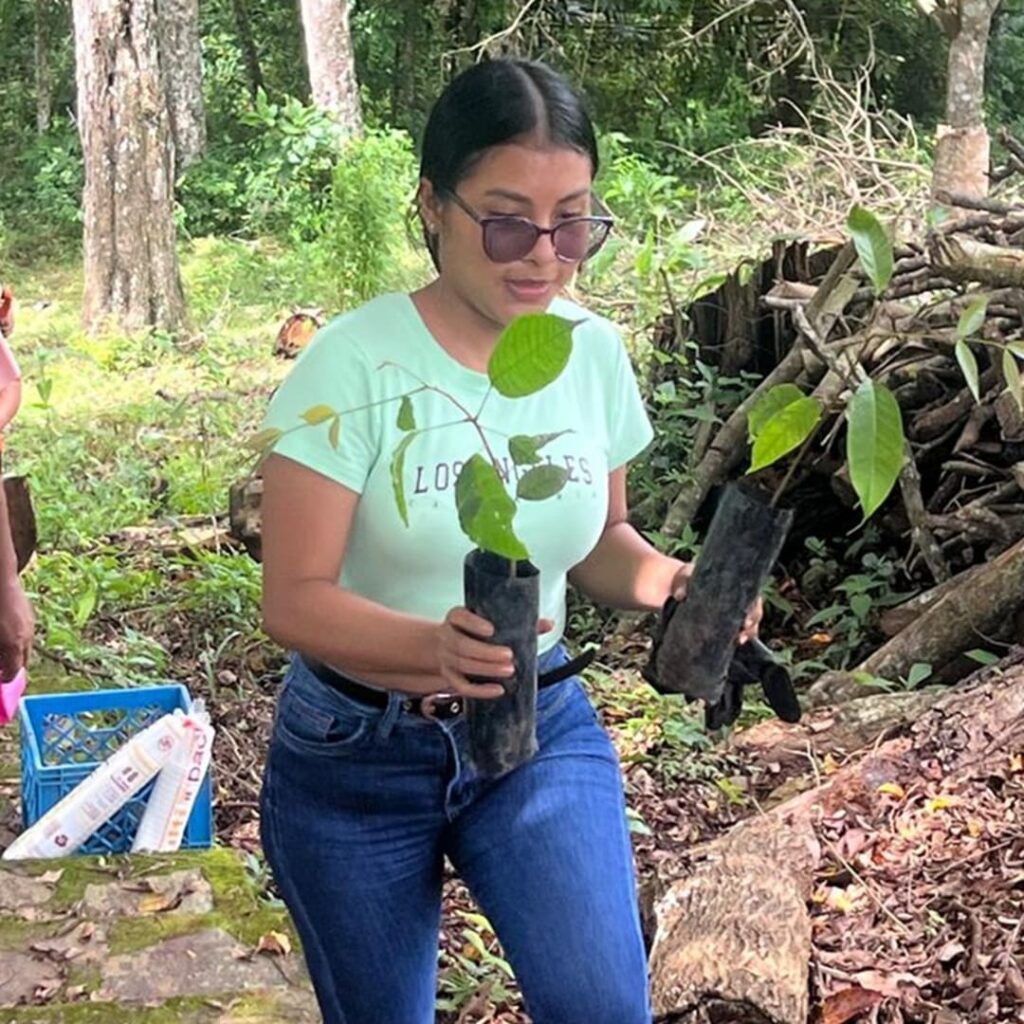 Reforestación en Panamá Oeste