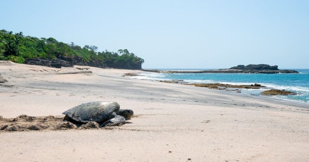 Refugio de Vida Silvestre SABOGA