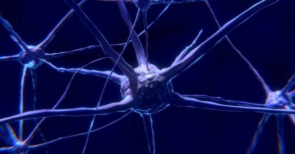 vínculo entre cerebro-intestino