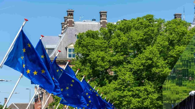 Ley europea contra la deforestación