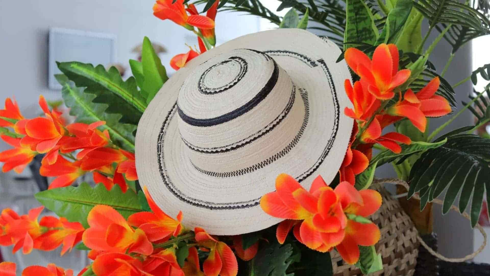 Festival Nacional del Sombrero Pintao