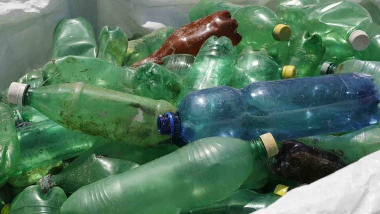 plásticos y foam en las áreas protegidas